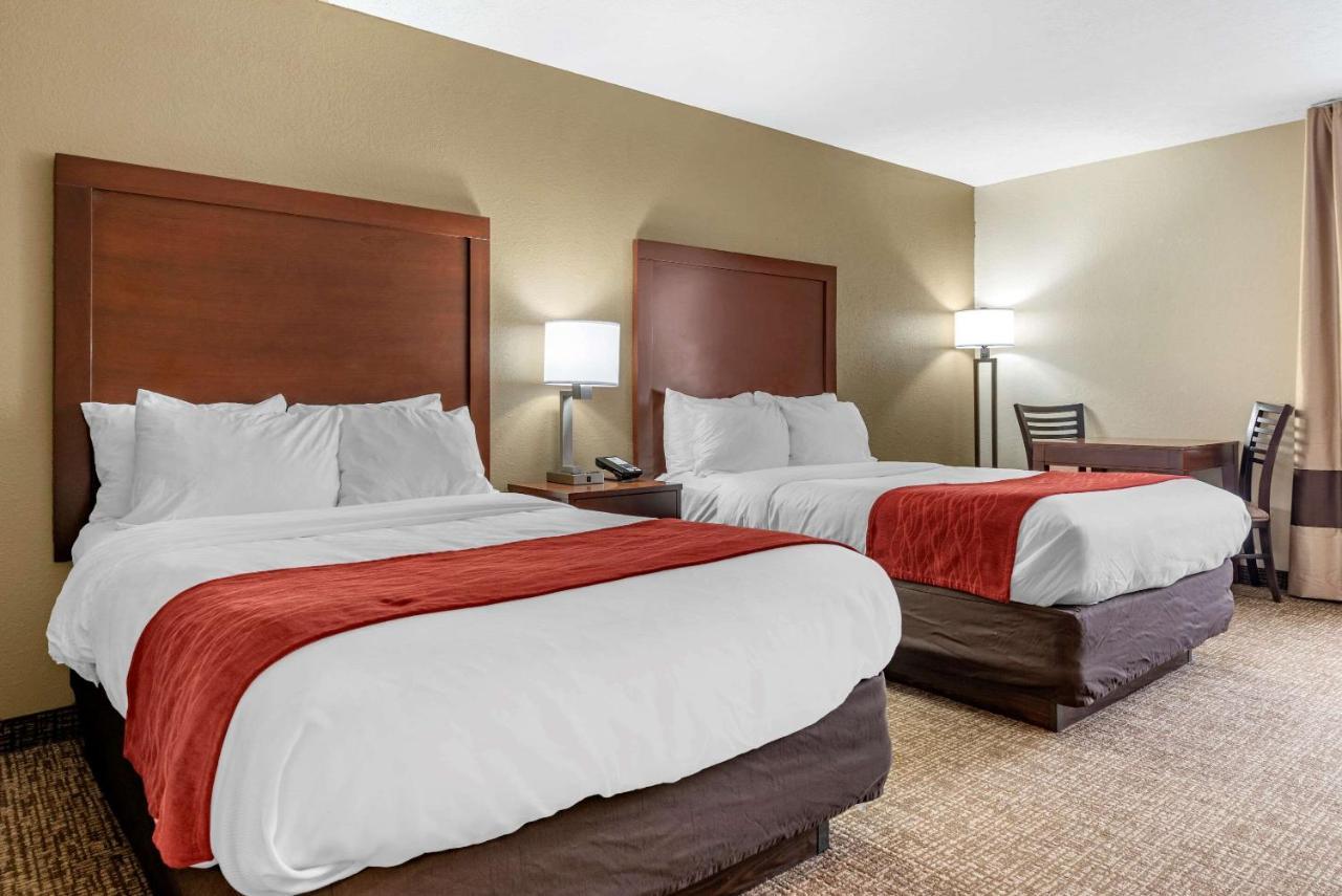 Comfort Inn & Suites Cincinnati Eastgate Ngoại thất bức ảnh